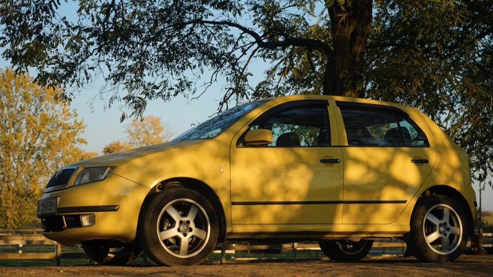 Skoda Fabia Жовтий ципленок 2