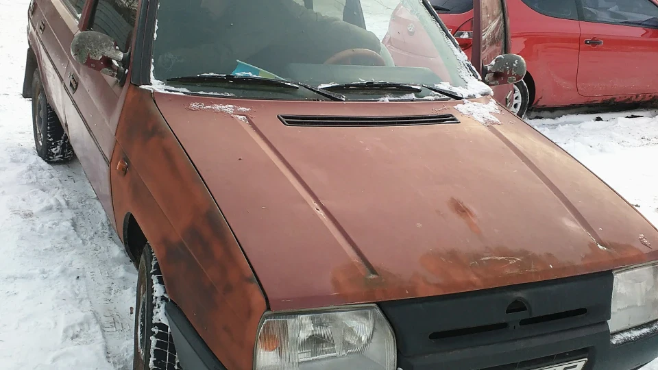 Skoda Favorit Малюк 2