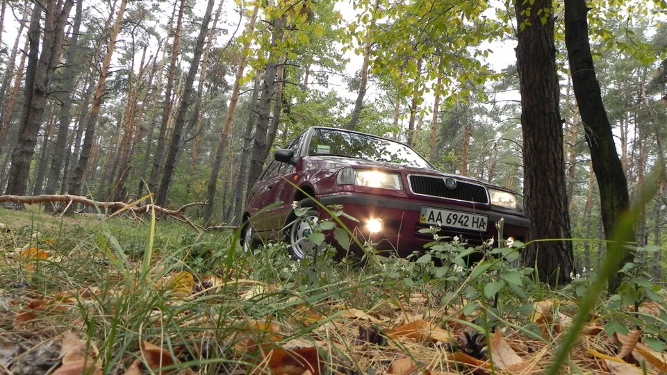 Skoda Felicia Baby!!! 4