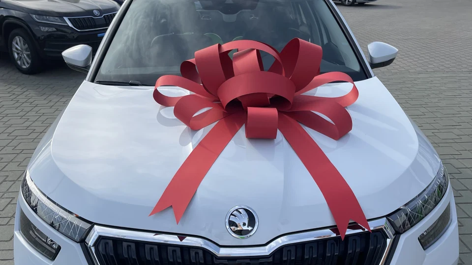 Skoda Kamiq 1.6 mpi