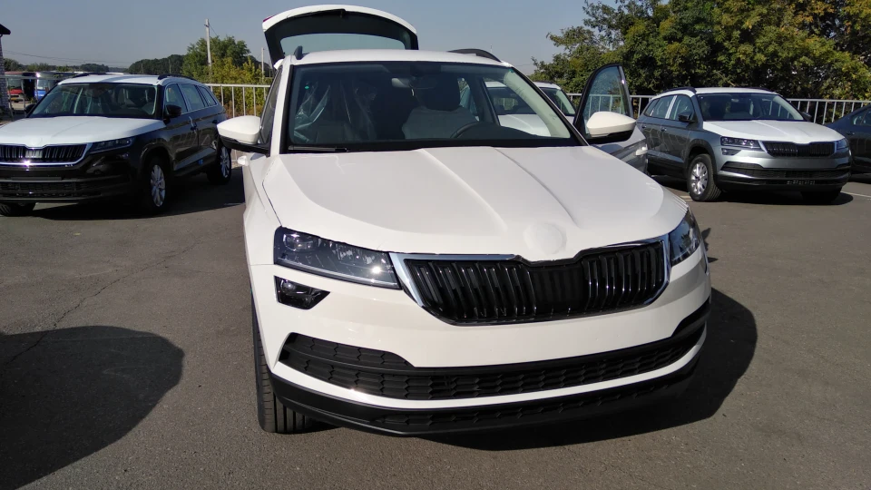 Skoda Karoq 1.4 at