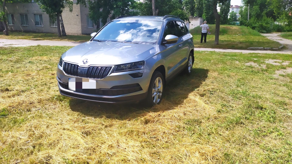 Skoda Karoq Business grey