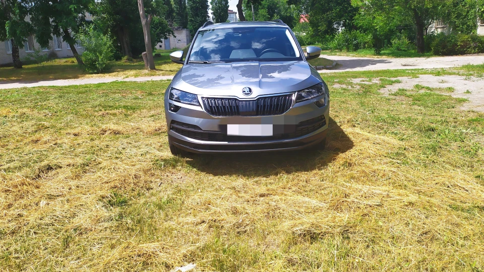 Skoda Karoq Business grey 2