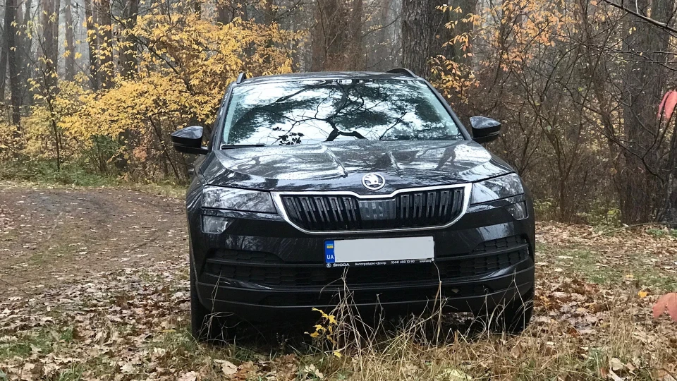 Skoda Karoq чорна мамба 2