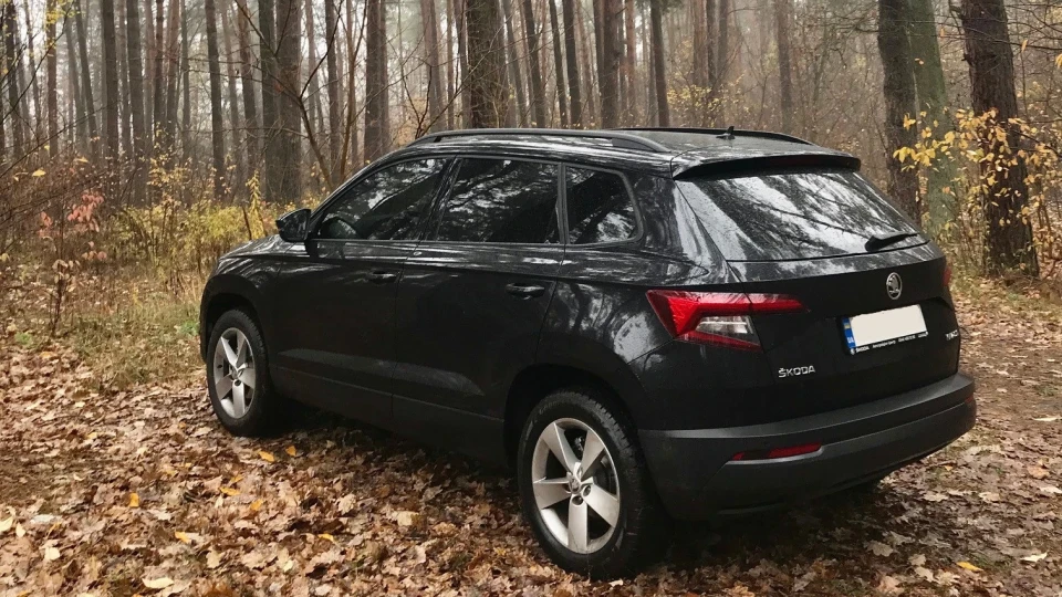 Skoda Karoq чорна мамба 3