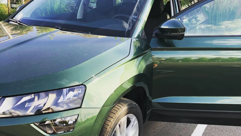 Skoda Karoq Style, Emerald green 2