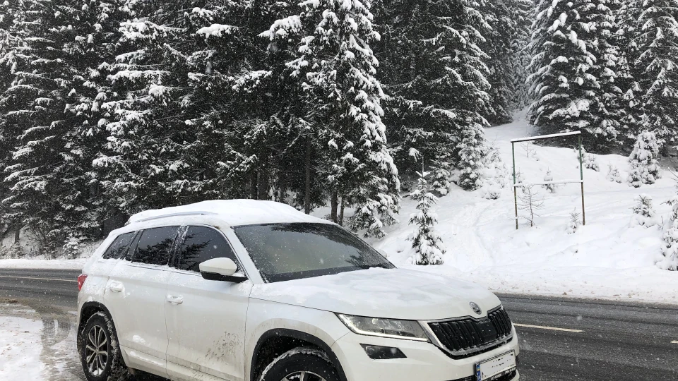 Skoda Kodiaq 2.0 tdi 150 коней 2
