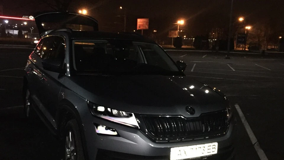 Skoda Kodiaq Сірий Ведмедик 2