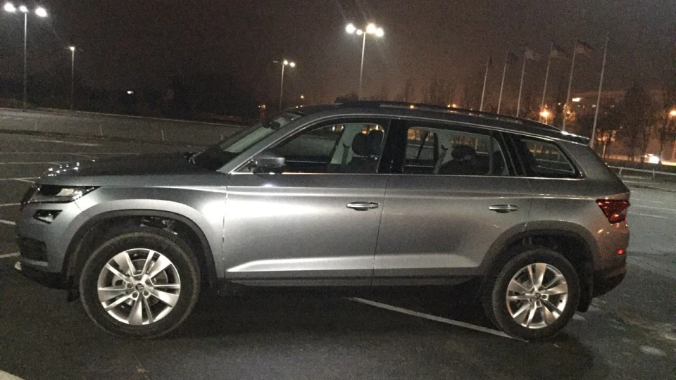 Skoda Kodiaq Сірий Ведмедик 3