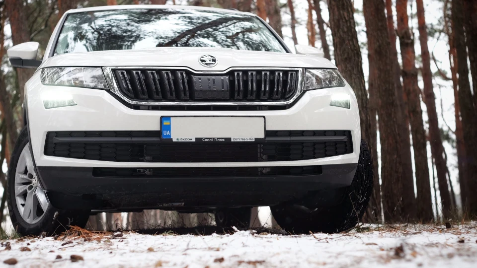 Skoda Kodiaq Тeddy TDI