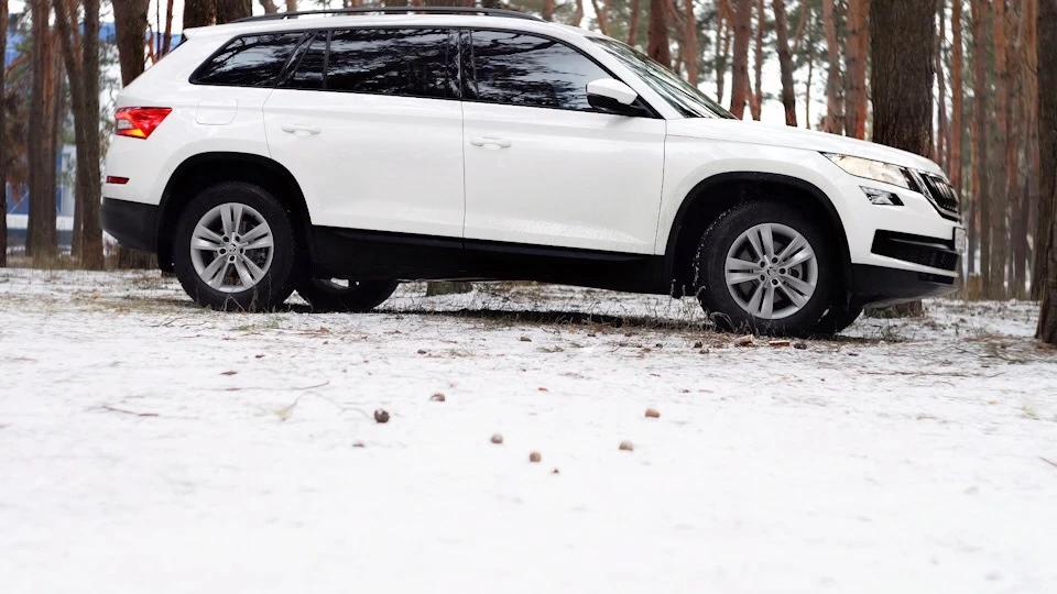 Skoda Kodiaq Тeddy TDI 2