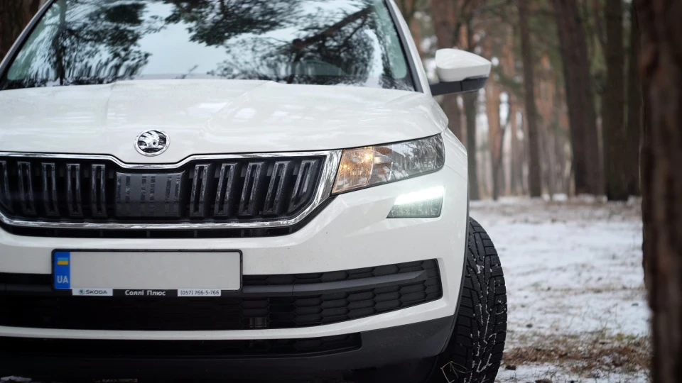 Skoda Kodiaq Тeddy TDI 3