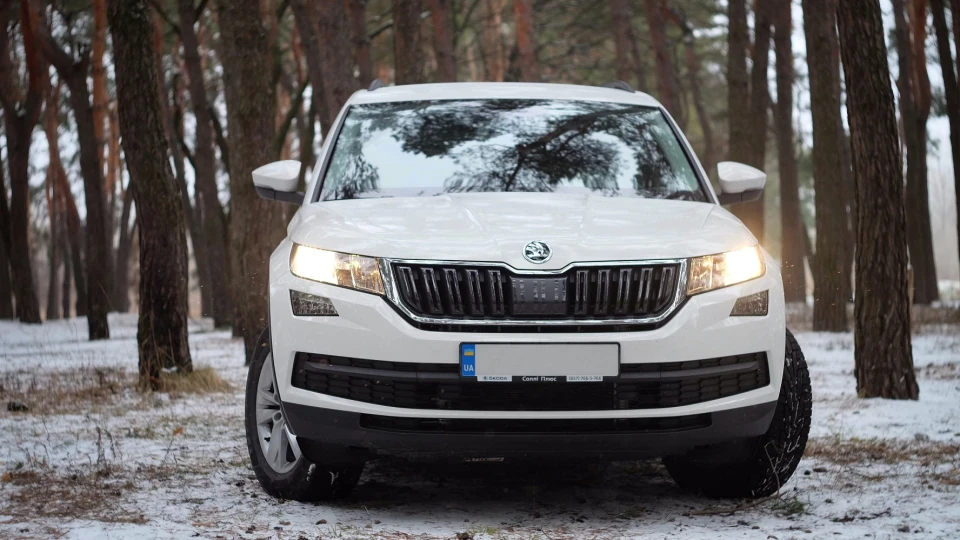 Skoda Kodiaq Тeddy TDI 5