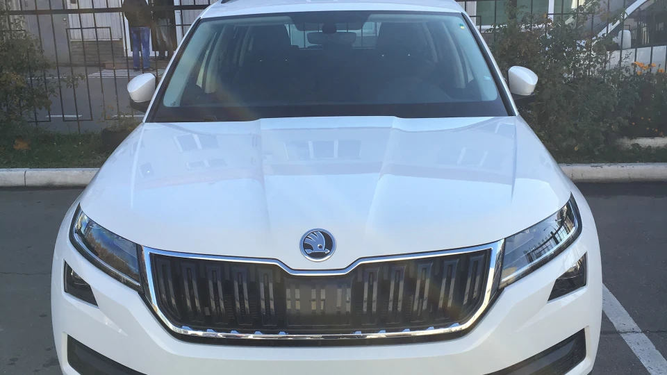 Skoda Kodiaq WHITE ANIMAL🐼 2