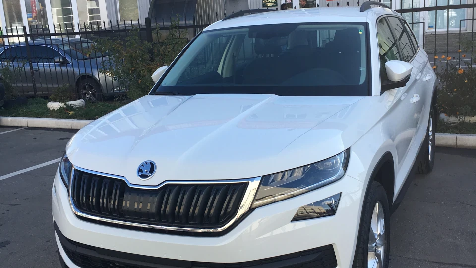 Skoda Kodiaq WHITE ANIMAL🐼 3
