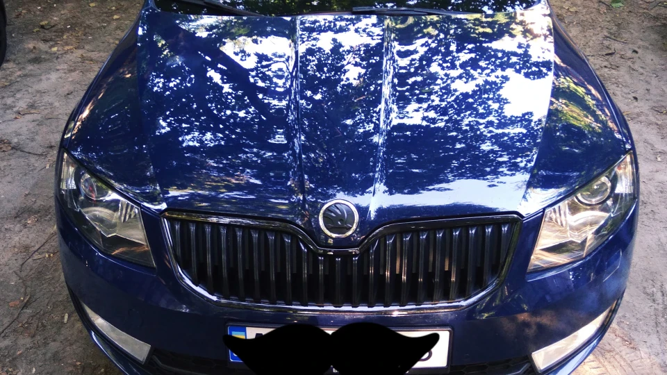 Skoda Octavia Combi Чеська Німка 2