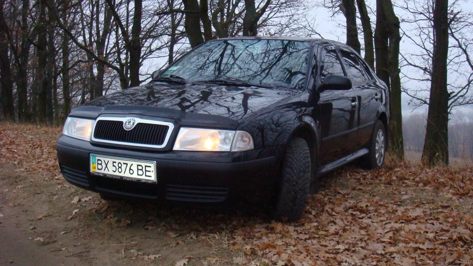 Skoda Octavia Combi Дієтна-малютка
