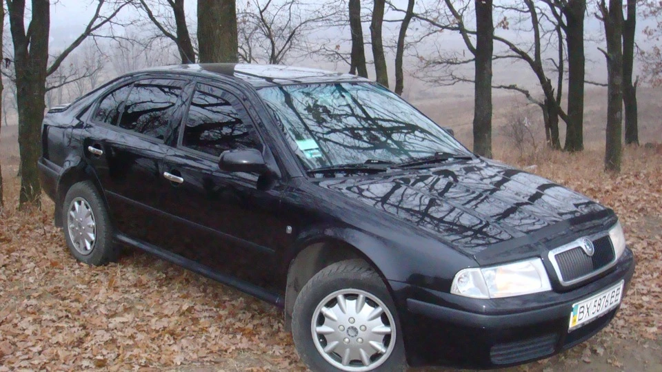 Skoda Octavia Combi Дієтна-малютка 2