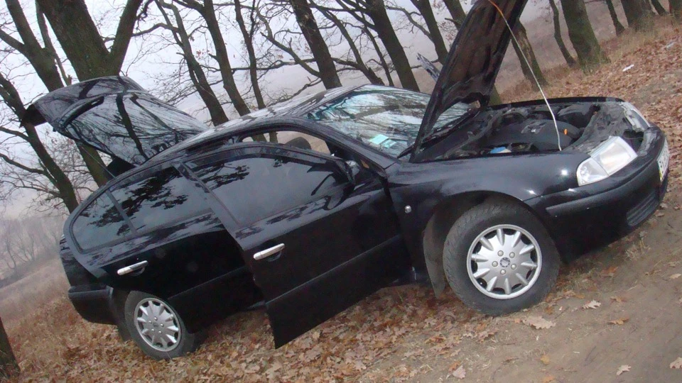 Skoda Octavia Combi Дієтна-малютка 4