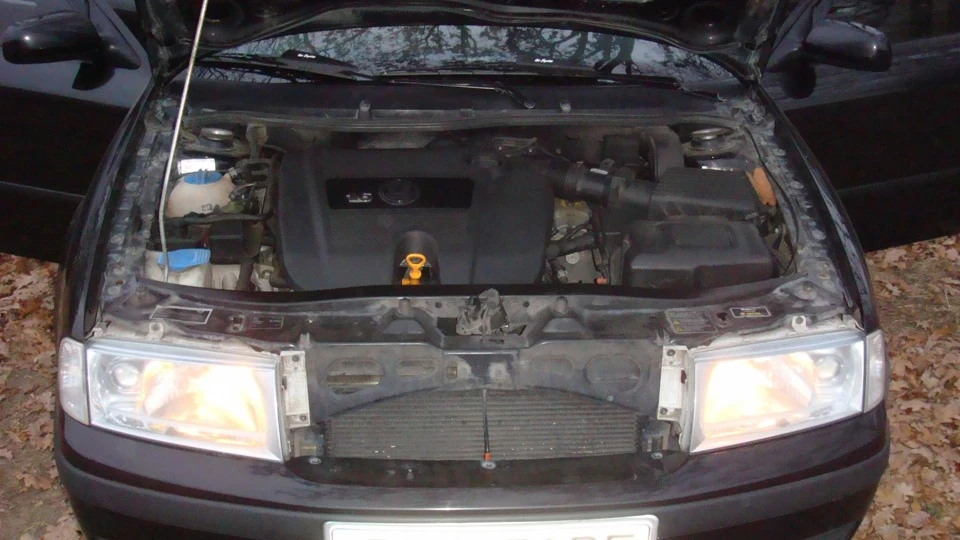 Skoda Octavia Combi Дієтна-малютка 5