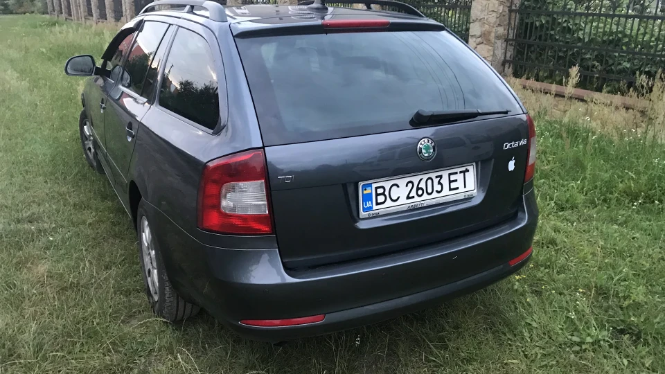 Skoda Octavia Combi Grey combik 🇩🇪🐌 3