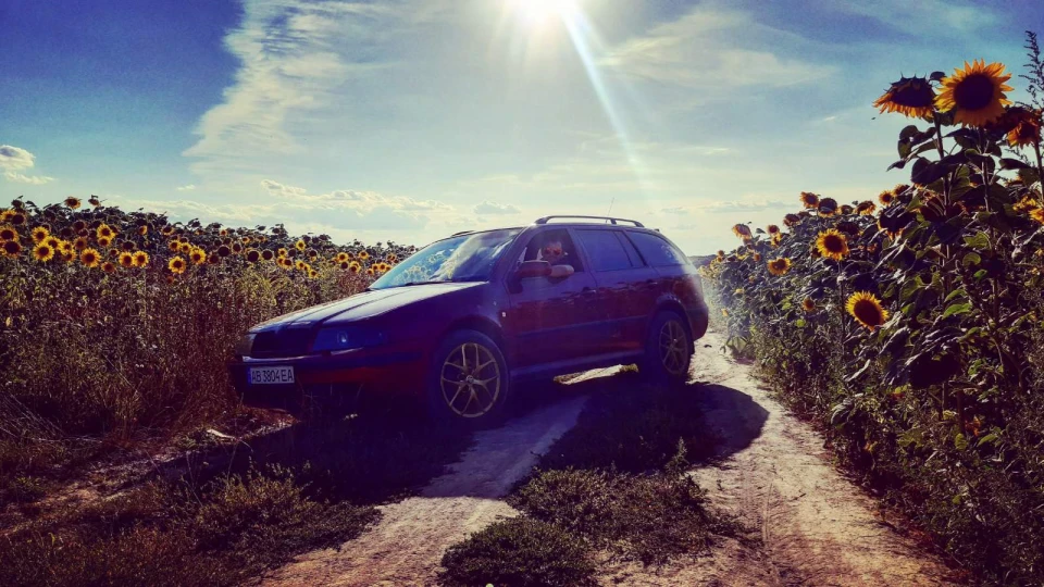 Skoda Octavia Combi RED Сарай_ко 4