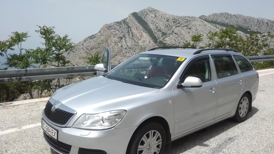 Skoda Octavia Combi сіра конячка 2