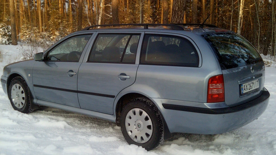 Skoda Octavia Combi Сіроголубий 3
