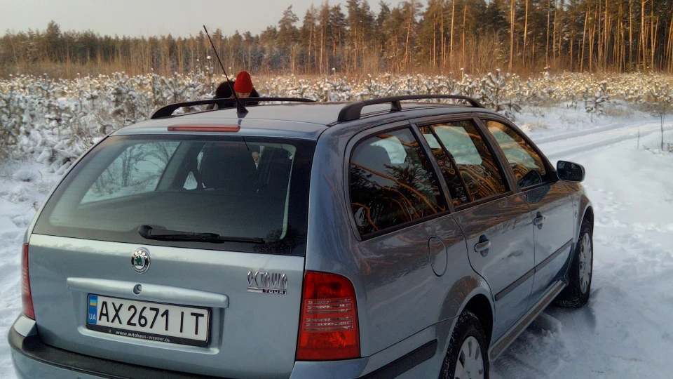 Skoda Octavia Combi Сіроголубий 4