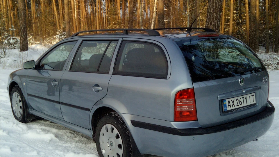 Skoda Octavia Combi Сіроголубий 5