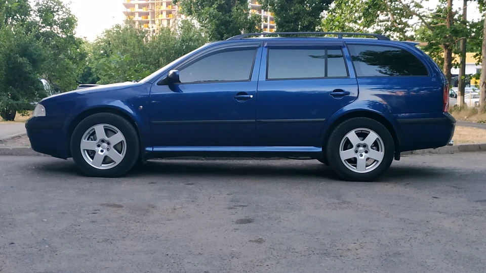 Skoda Octavia Combi Синій сарай 3