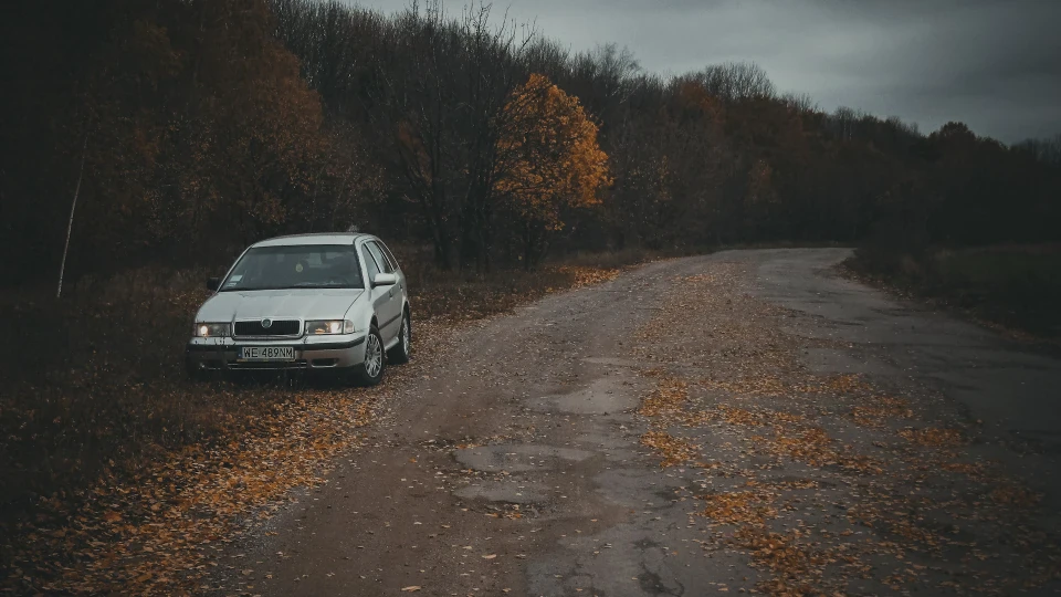 Skoda Octavia Combi TDI 2