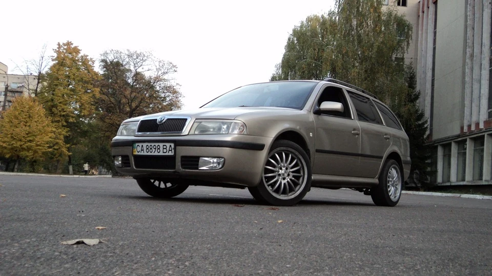 Skoda Octavia Combi Золотий VAGончик 2