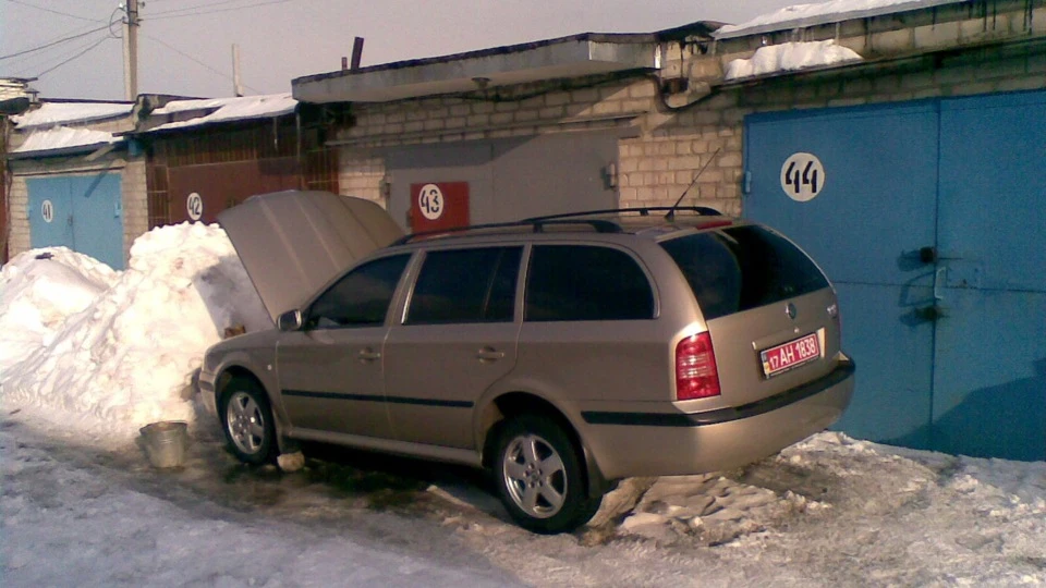 Skoda Octavia Combi Золотий VAGончик 5