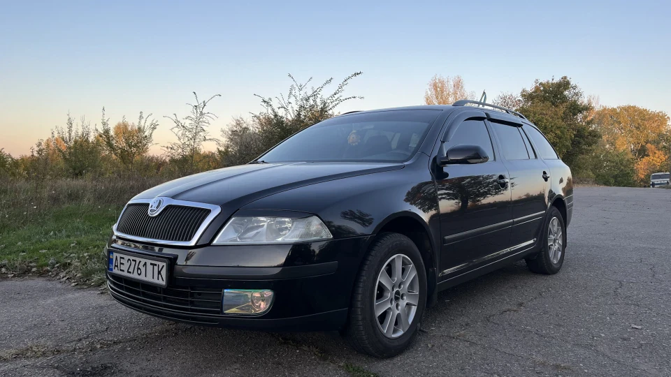 Skoda Octavia Combi Жулька) 2
