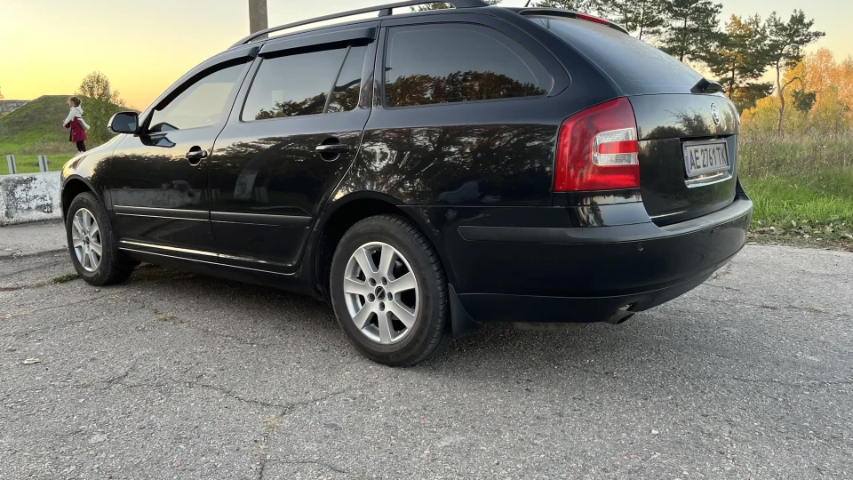 Skoda Octavia Combi Жулька) 3