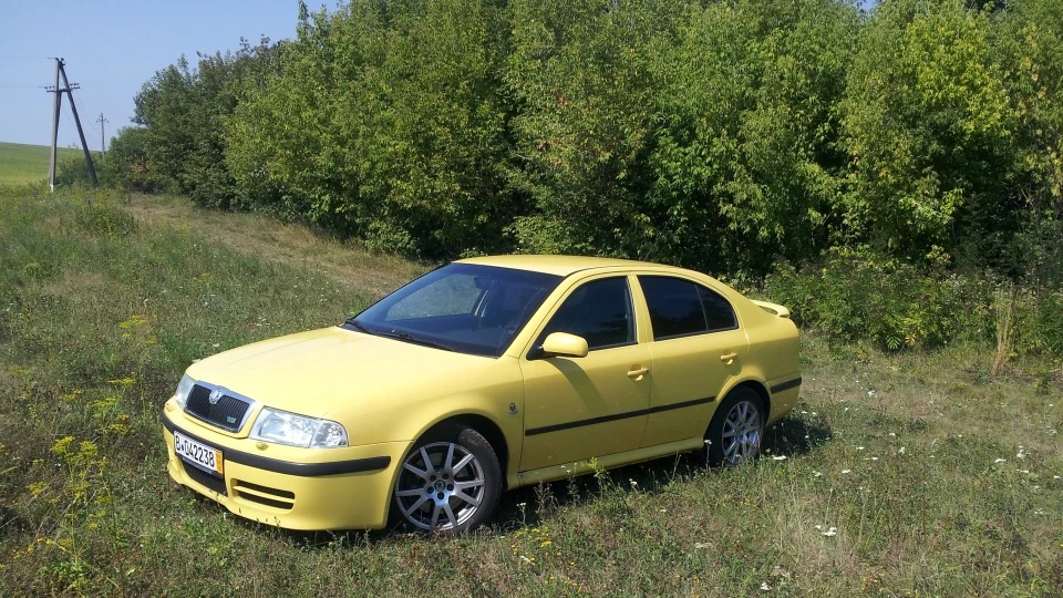 Skoda Octavia RS 256HP 2