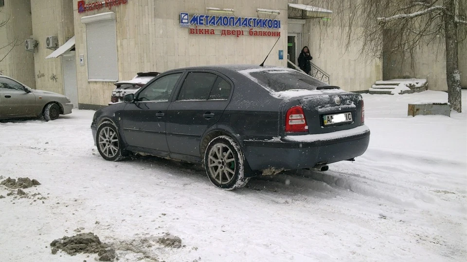 Skoda Octavia RS Сіра Рись 3