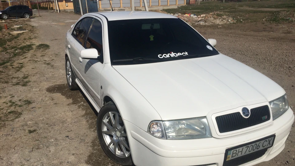 Skoda Octavia RS Snow 5