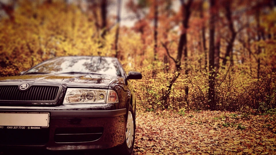 Skoda Octavia 2