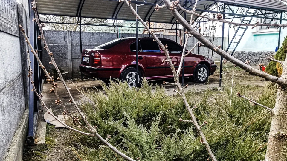 Skoda Octavia ᴡɪɴᴛᴇʀ ᴄʜᴇʀʀʏ 3