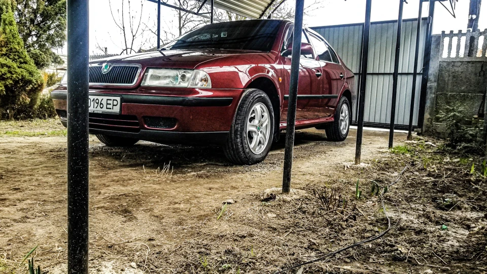 Skoda Octavia ᴡɪɴᴛᴇʀ ᴄʜᴇʀʀʏ 4