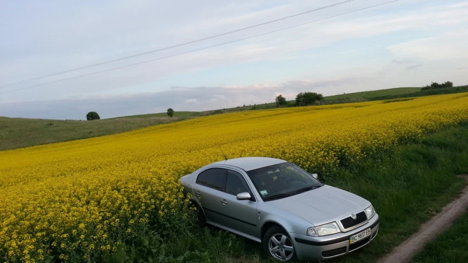Skoda Octavia 2
