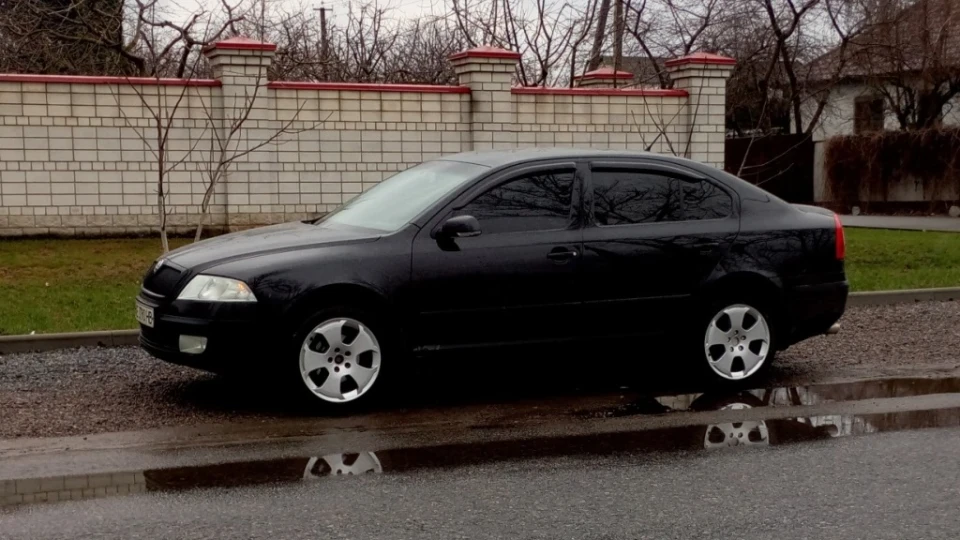 Skoda Octavia 1.6 Брюнетка 2