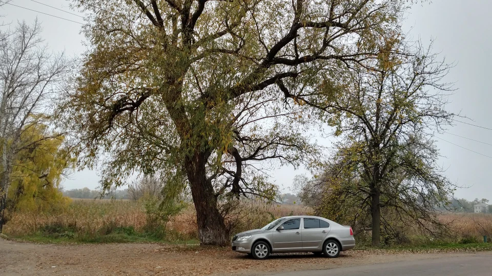 Skoda Octavia 1.8 tsi Cappuccino 5