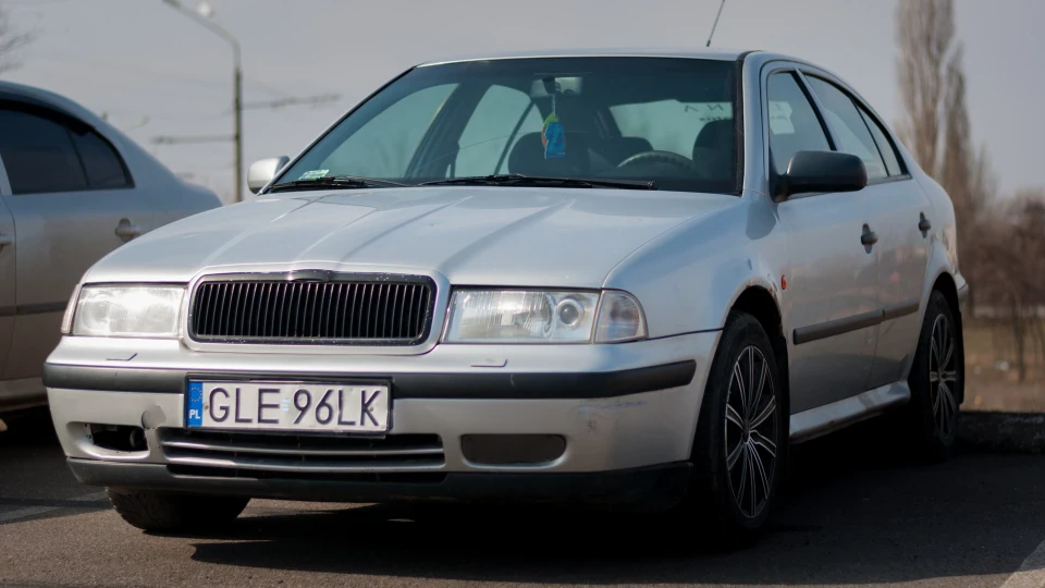 Skoda Octavia 1.9 TDI Шкодниця ASV 2