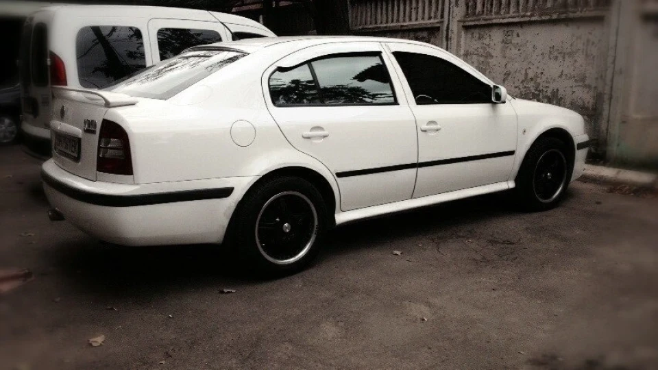 Skoda Octavia Біла шкодниця
