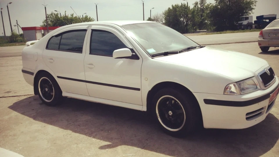 Skoda Octavia Біла шкодниця 2