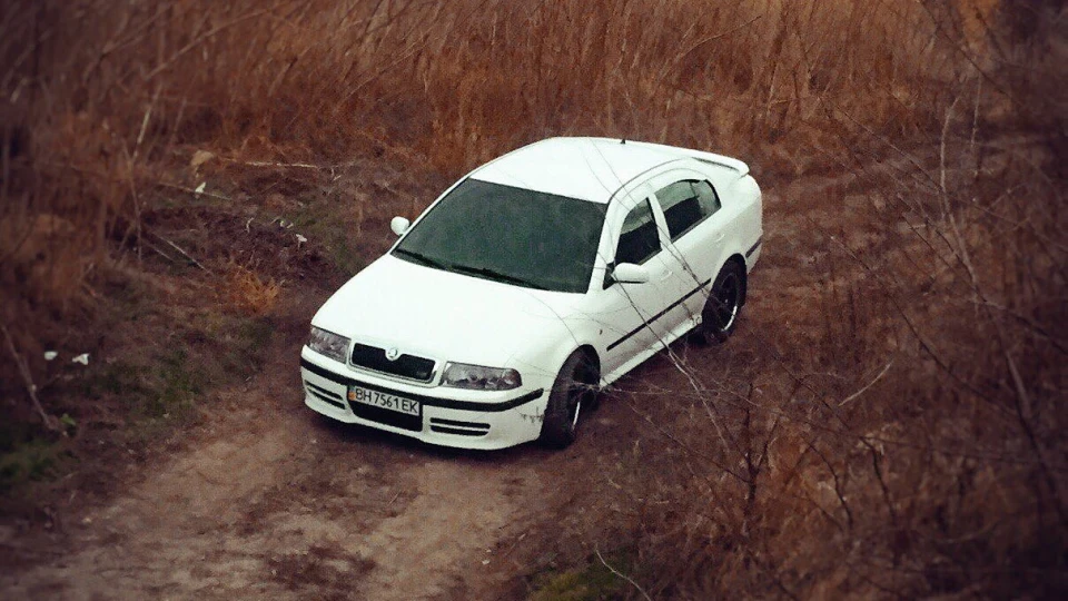 Skoda Octavia Біла шкодниця 4