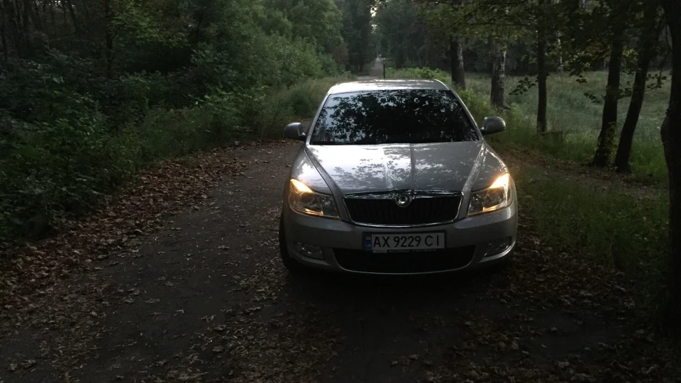 Skoda Octavia *Біла Вишня* 2